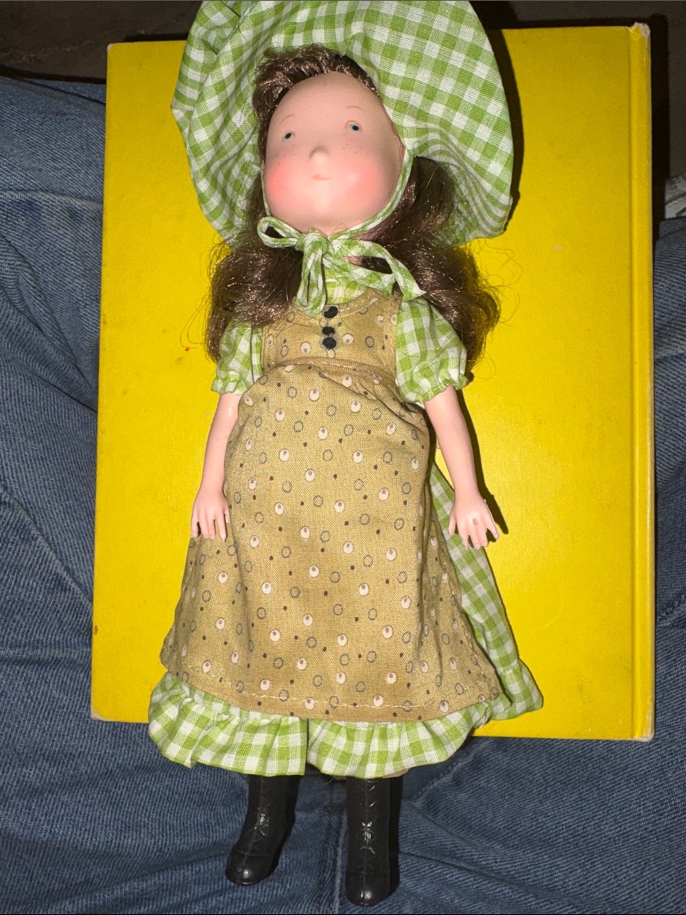 Vintage-Style Holly Hobbie Green Check Dress and Tan Apron